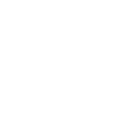 Household Ant Icon