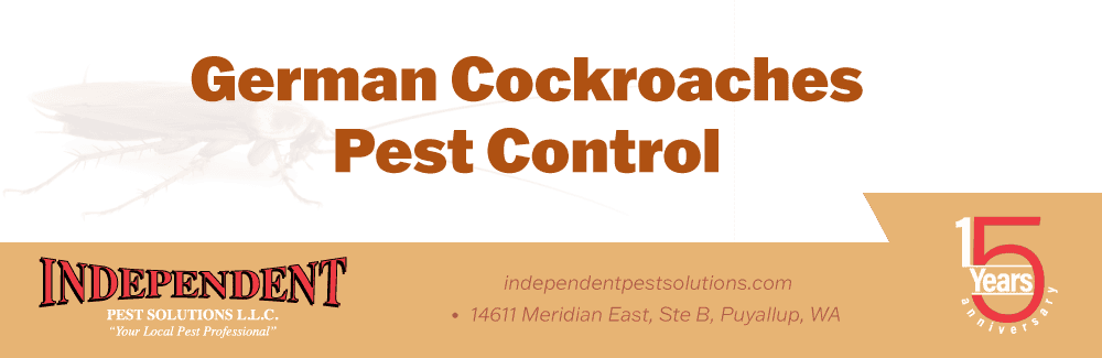 Cockroach exterminator