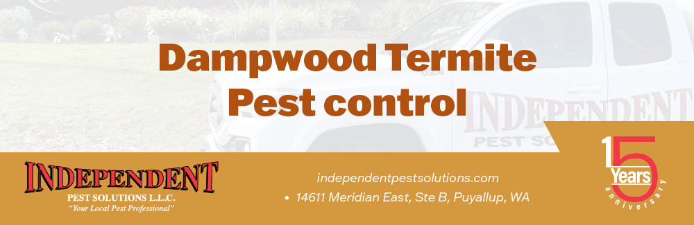 Dampwood termite exterminator