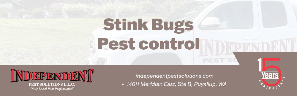Stink Bug Pest Control