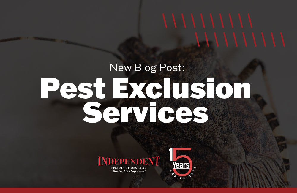 Pest Extreminators in Puyallup