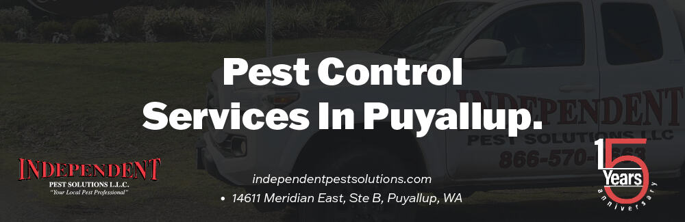 Pest Control in Puyallup