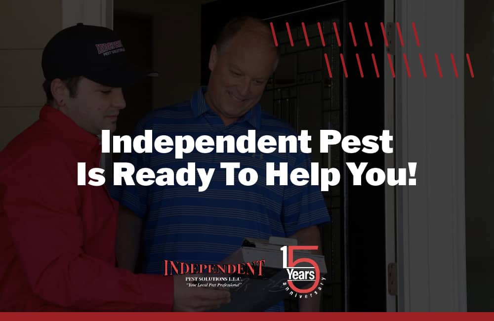 Independent Pest Solutions