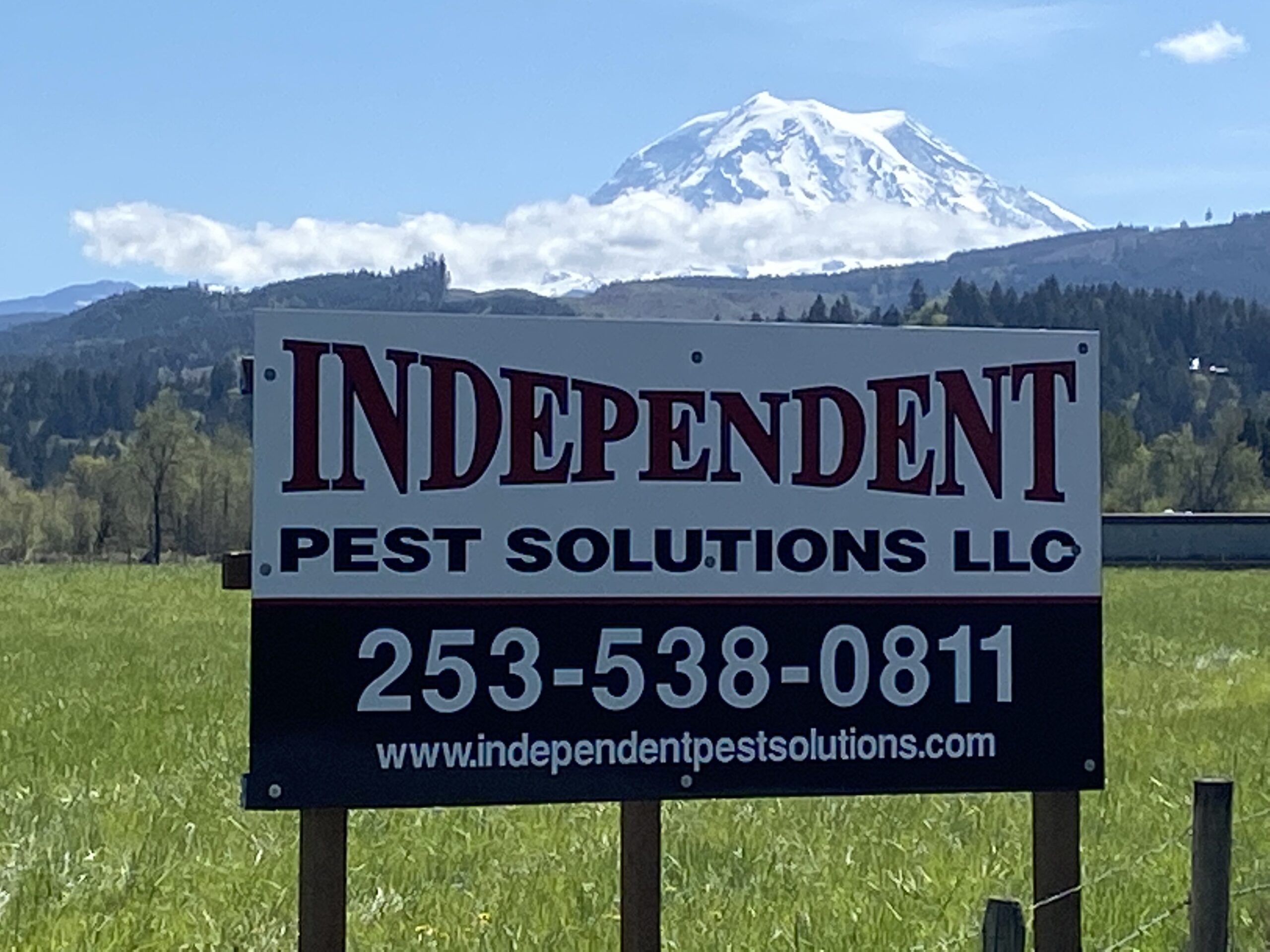 Orting Pest Services