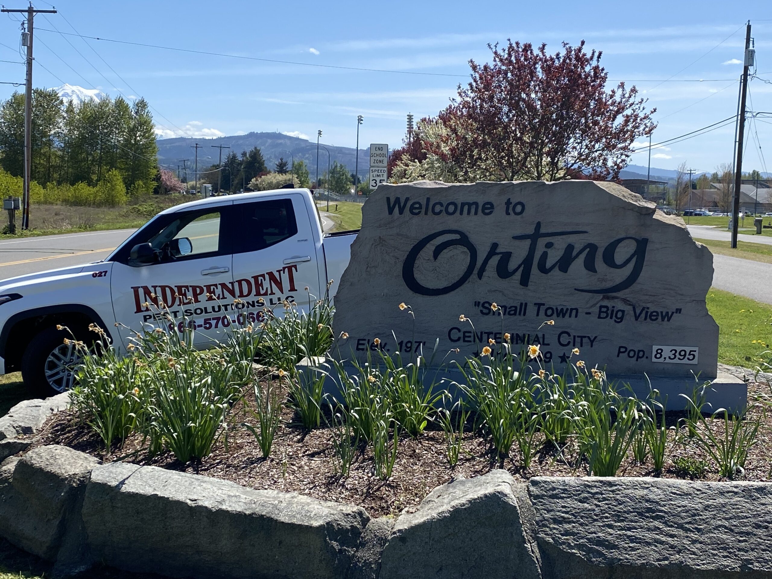 Orting Pest Control