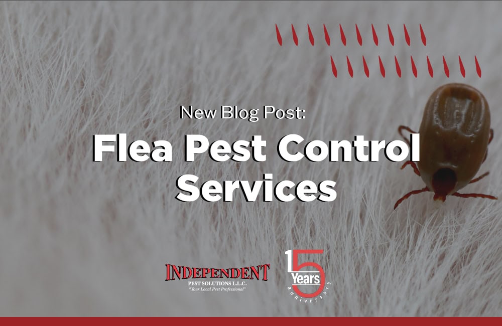 Flea Pest Control Services