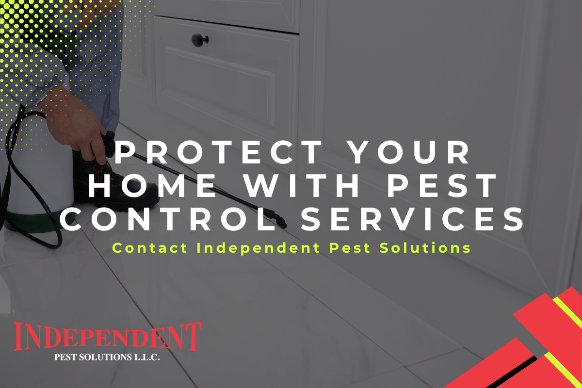 Pest control in the Pacific Northwest