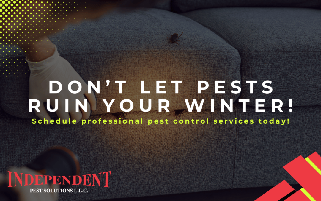 Independent Pest Solutions pest control