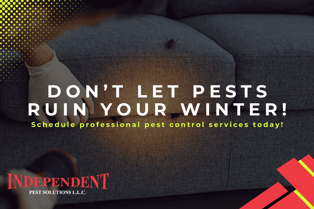 Independent Pest Solutions pest control