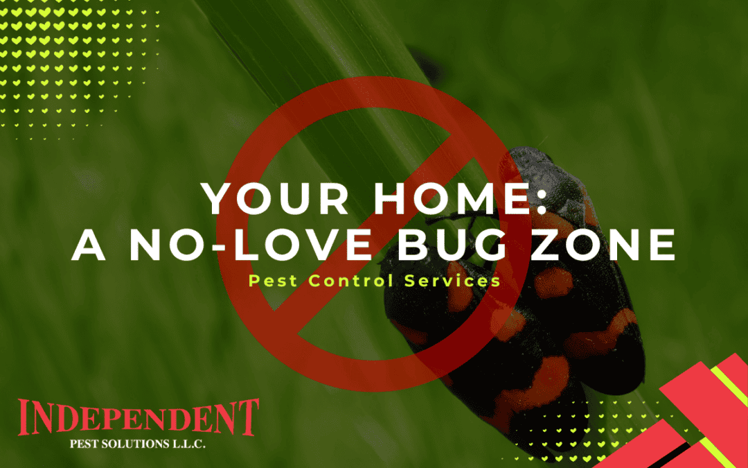 Making Your Home a Love Bug-Free Zone