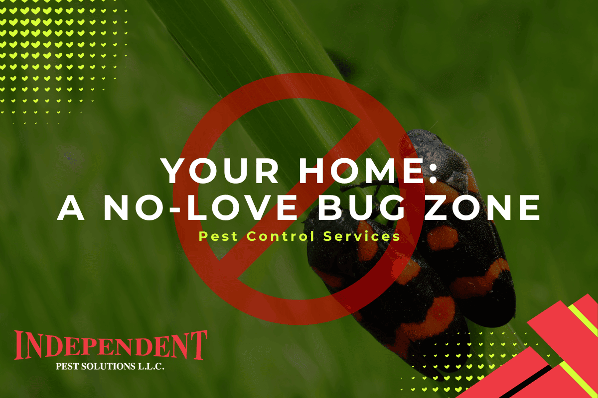 pest control renton wa