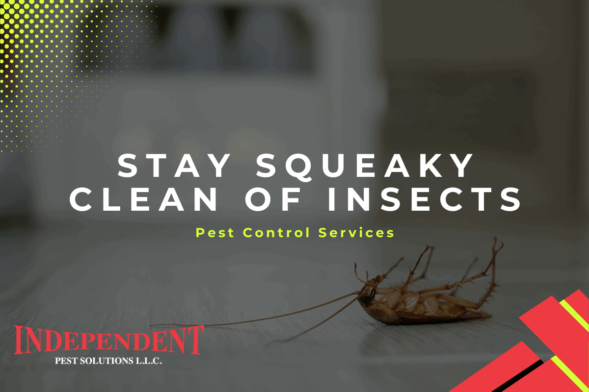 roach extermination tacoma