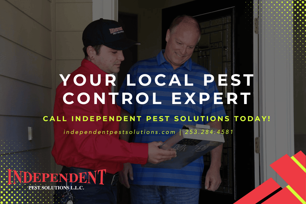 pest control exterminator Everett WA pest control exterminator Everett WA