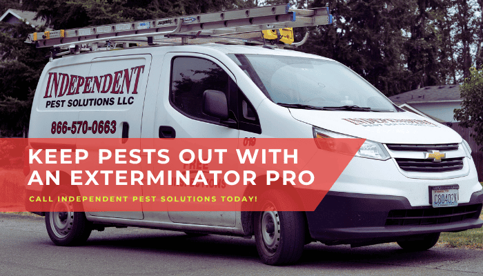 Puyallup cockroach pest control services