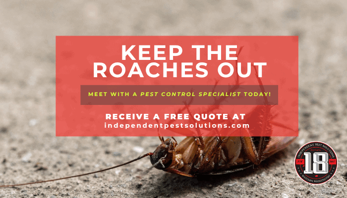 roach extermination services in WA