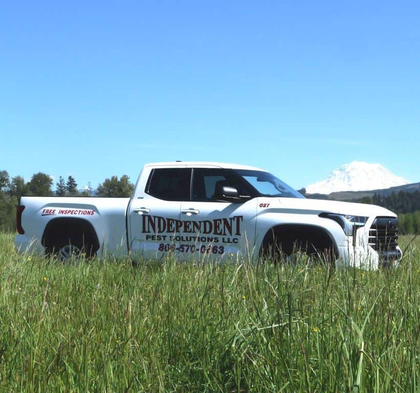 PierceCountyPestcontrol 2048x1918