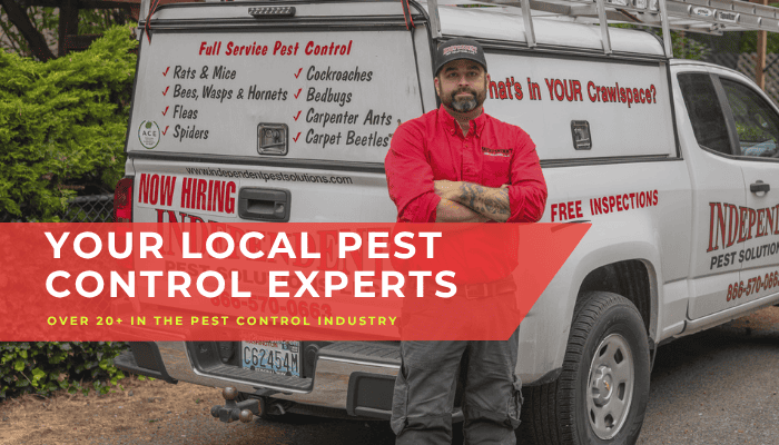 home rodent control in Puyallup