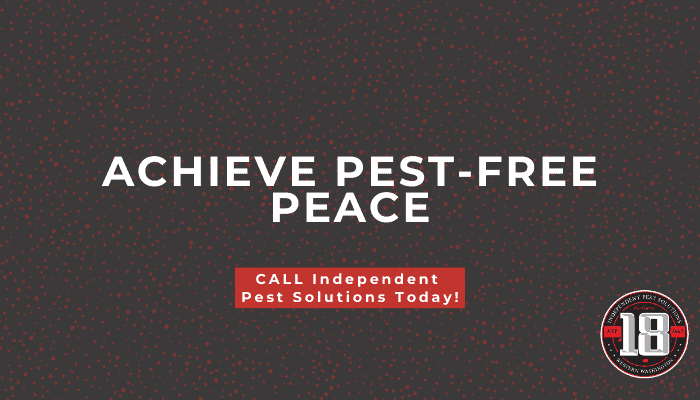 rat exterminator in Puyallup WA