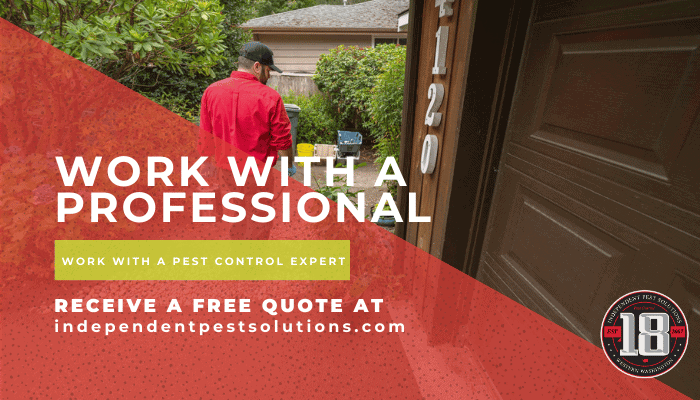 home pest control company in Puyallup WA