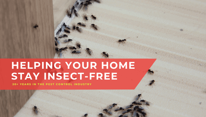 pest control company in Puyallup WA