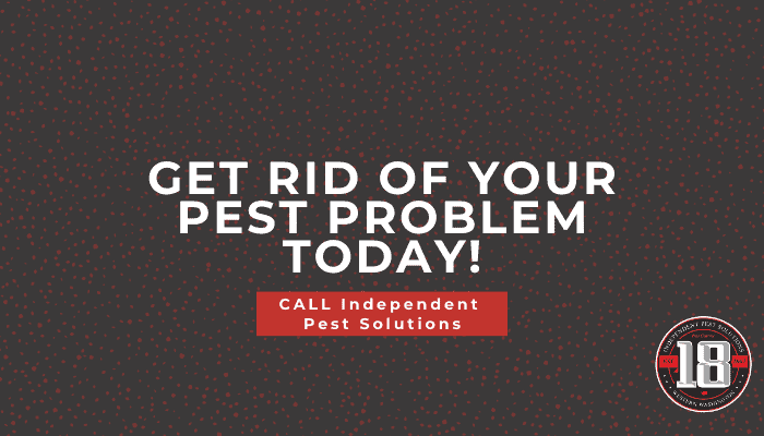 Puyallup pest control company near me