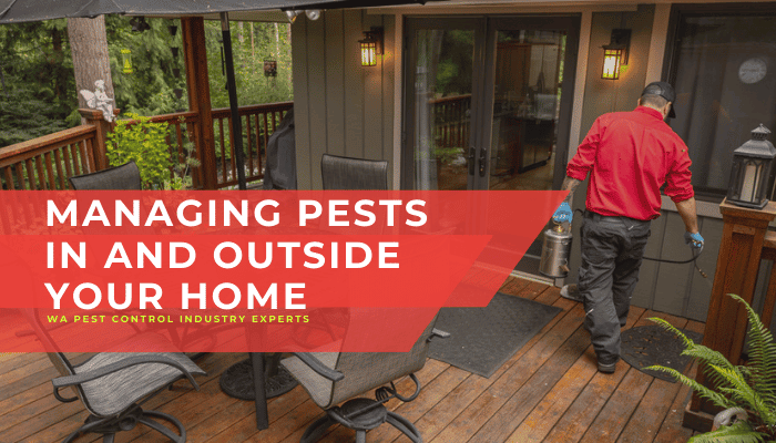 outdoor bug exterminator in WA