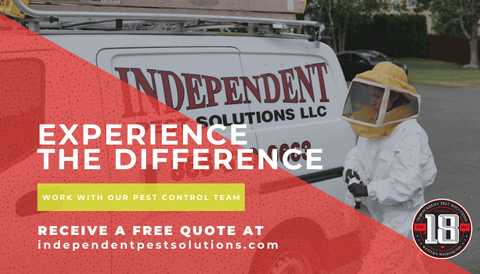 WA pest control company for home insect infestation