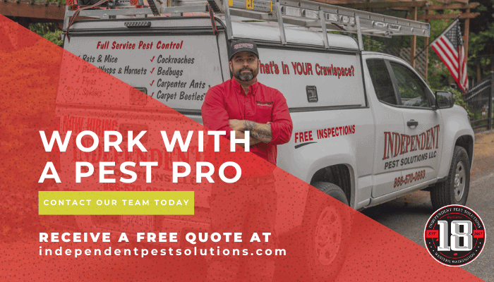 exterminator for bugs in Puyallup WA