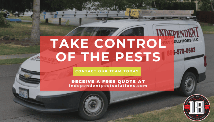 ant exterminator in Puyallup ant exterminator in Puyallup