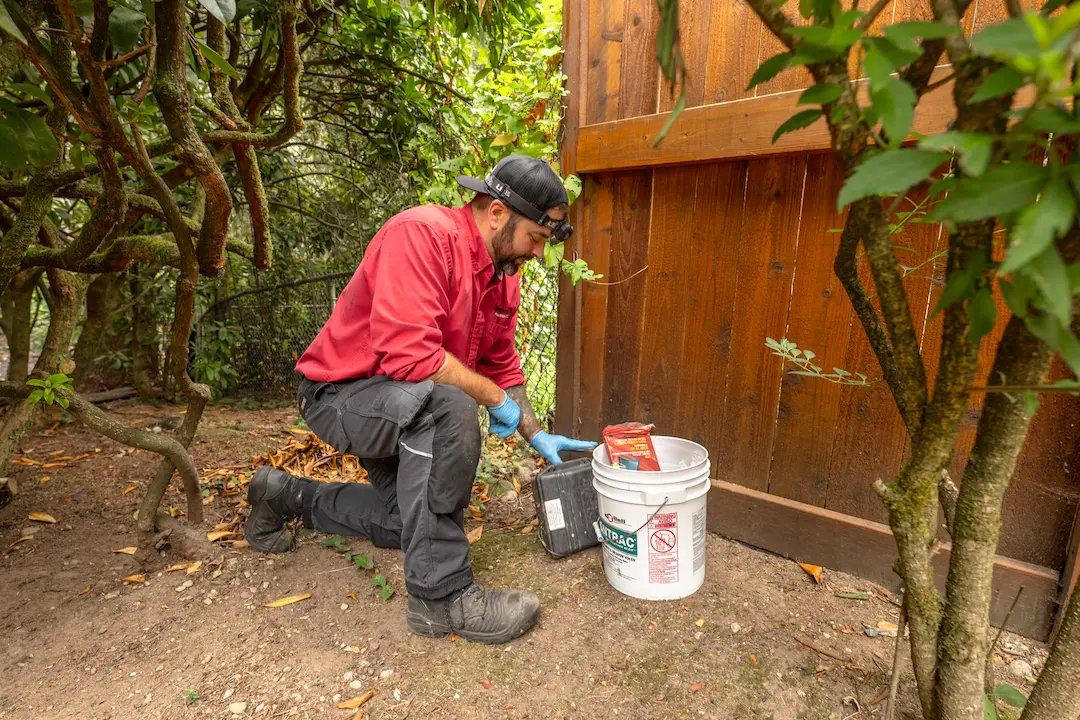 independent pest solution